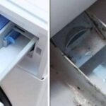 Un gran consejo para revitalizar el cajón de tu lavadora: deshacerse del moho