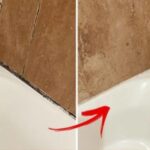 Consejo para eliminar eficazmente el moho de la silicona en el baño