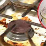 Aquí se explica cómo eliminar la suciedad y la grasa de la encimera en minutos
