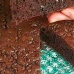 Bizcocho tierno de cacao: el postre sin mantequilla que debes probar