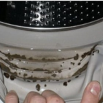 7 errores de lavado a máquina que todo el mundo comete