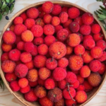 Corbezzole: dónde encontrar las frutas y cómo usarlas mejor en la cocina