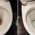Un método temible para dejar el fondo del inodoro muy limpio