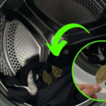Laurel en la lavadora, el ingrediente milagroso para tu ropa de colores