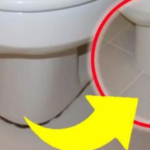 CÍRCULO NEGRO ALREDEDOR DEL BIDÉ, SOLO LO QUITAS SI HACES ESTO | ¡NUNCA HABÍA TENIDO UN BAÑO TAN LIMPIO!