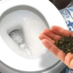 ELIMINA EL OLOR A ORINA Y PERFUMA LA CASA CON ESTE GENIAL TRUCO