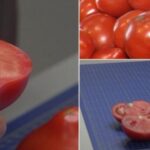 Los tomates con sabor a infancia se han convertido en una rareza: Cómo reconocer los tomates tratados químicamente y qué consejos dan los expertos