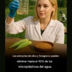Investigadores de la Universidad Estatal de Tarleton en Texas han descubierto