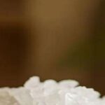 Este superalimento podría solucionar importantes problemas de salud: esto es lo que necesita saber