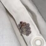 Me encuentro con estos pequeños canadienses ante mi cámara y los experimento a través de un infarto: viajamos con lo sucedido.