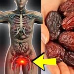 Fechas: el dulce superalimento de la naturaleza con excelentes beneficios para la salud
