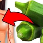 BENEFICIOS DE LA QUIMBOCRÁ – ¡20 Impresionantes Beneficios para la Salud!