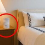 ¡Quítelo de su habitación inmediatamente! ¡Cáncer de pulmón!