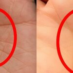 El Secreto de la Letra X en la Palma de la Mano (¡Solo el 3% de la Población Mundial la Posee!)