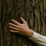 ¿Por qué abrazar árboles y cuáles son sus beneficios? Nuestros bisabuelos ya lo hacían.