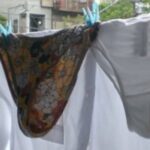 Estas 10 reglas aplican en balcones