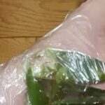 Elimina el dolor de rodilla rápidamente y sin químicos
